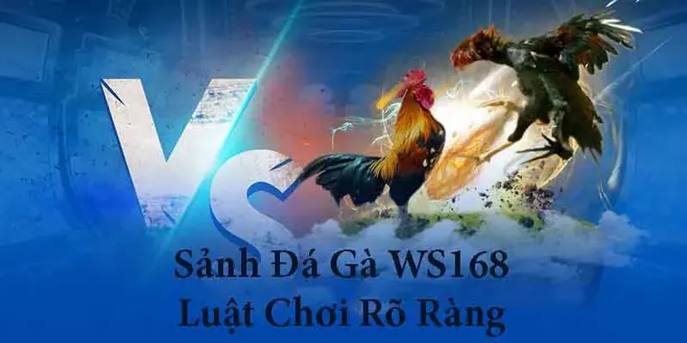 Đánh Bại Nhà Cái Đá Gà WS168 Galaxy6623 Cực Kỳ Đơn Giản
