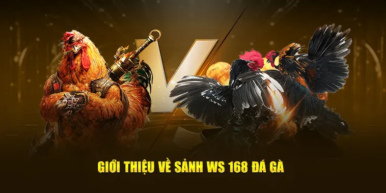 Đánh Bại Nhà Cái Đá Gà WS168 Galaxy6623 Cực Kỳ Đơn Giản