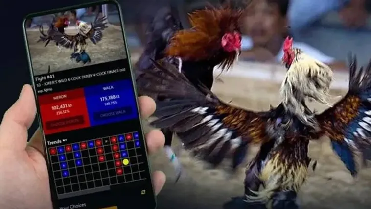 Sôi Động Cùng Sàn Đấu Kịch Tính Tại Sảnh Đá Gà Galaxy6623 Uy Tín