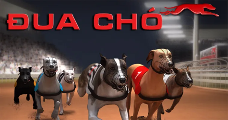 Bật Mí Cách Chơi Game Nhanh Đua Chó Tại Galaxy6623 Ăn Tiền Thưởng Cực Khủng